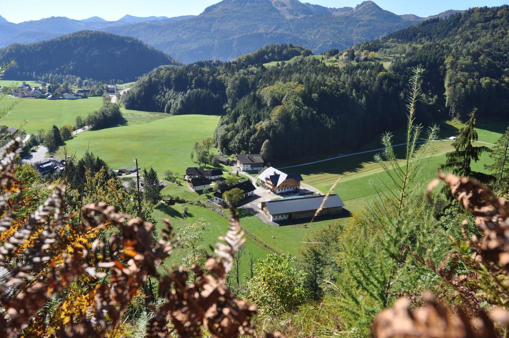 Ferienwohnung Dichtlbauer Sankt Gilgen Exterior foto